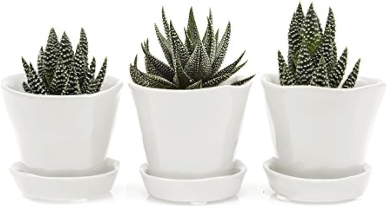 CHIVE ‘Tika’ Ceramic Planter Pot — Cute, Beautiful Plant Pots for Indoor & Outdoor Flowers & House Plants — Small (3" x 3.5") — Set of 3 — White