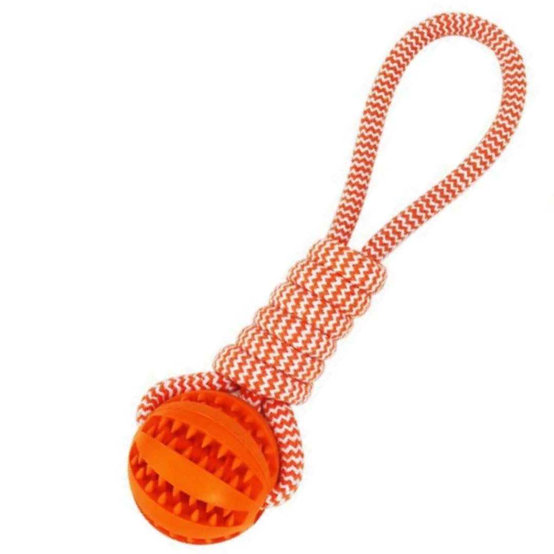 SKS-GROUP Pet IQ Training, Dog And Cat Chew Toy, Squeaky Rope Tether Ball, Pet Scratch Toy (ORANGE)