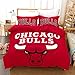 AMON LL Bedding3D zestaw pościeli do koszykówki, Chicago Bulls nadruk sportowa poszewka na kołdrę z poszewką na poduszkę zestaw 3 szt. King Bed zestaw pościeli, 228 * 228 cm