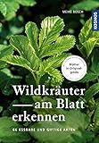  Wildkräuter am Blatt erkennen: 64 essbare Arten