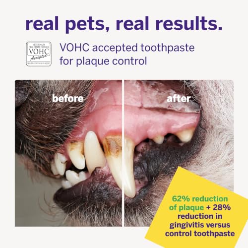 Image of Petsmile VOHC Accepted Pet Toothpaste, London Broil 2.5 Oz, Cats + Dogs | VOHC Accepted, Calprox Powered, Fights Plaque + Tartar, No-Brush Required, Human-Grade, 4-Month Supply, Clinically Proven