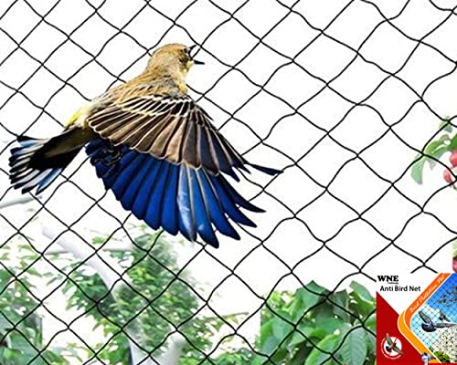 WNE Jaliwale Anti Bird net for Balcony/Bird Control Net/Bird Netting for Balcony/Garden Net Pigeon net for Balcony UV Stabilised HDPE Bird Netting, Color -White (8Feet X 15Feet)