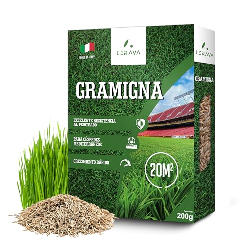 LERAVA Semillas Césped 20m²