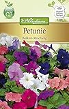 N.L. Chrestensen 5208 Petunie Balkon-Mischung (Petuniensamen)