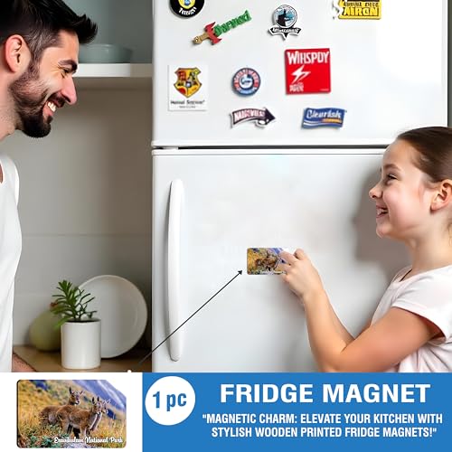 Image of Elegant Fridge Magnet with Themes |Rectangular Size Refrigerator Magnet with Magnetic Rubber Back | Pack of 1, 8.6cm X 5.4cm (Eravikulam National Park)