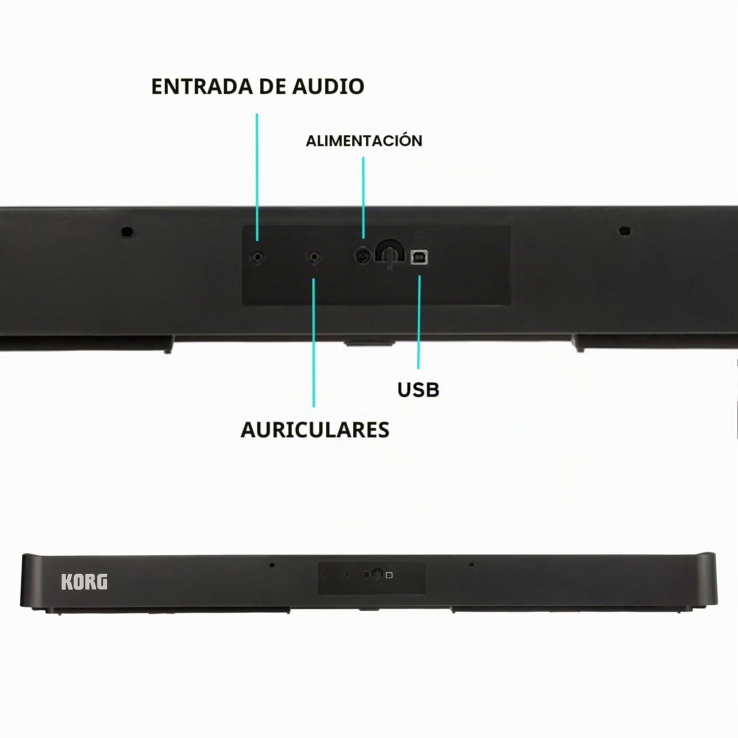 Korg B2 BK - Piano digital Negro