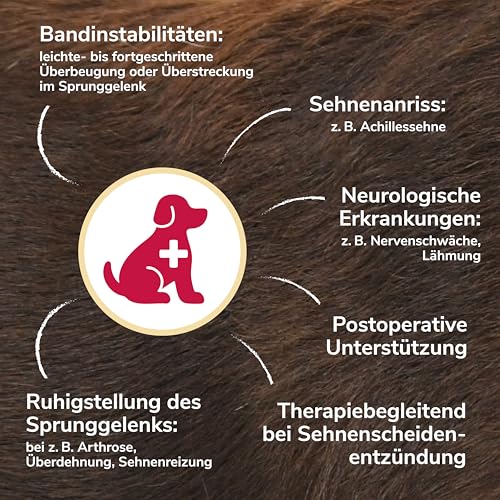 HERZENSTIER Sprunggelenkbandage aus Schaumstoff Gr. XXL für Hunde & Katzen, atmungsaktiv mit Schienen zur Sprunggelenks-Unterstützung mit bei Arthrose & Instabilität
