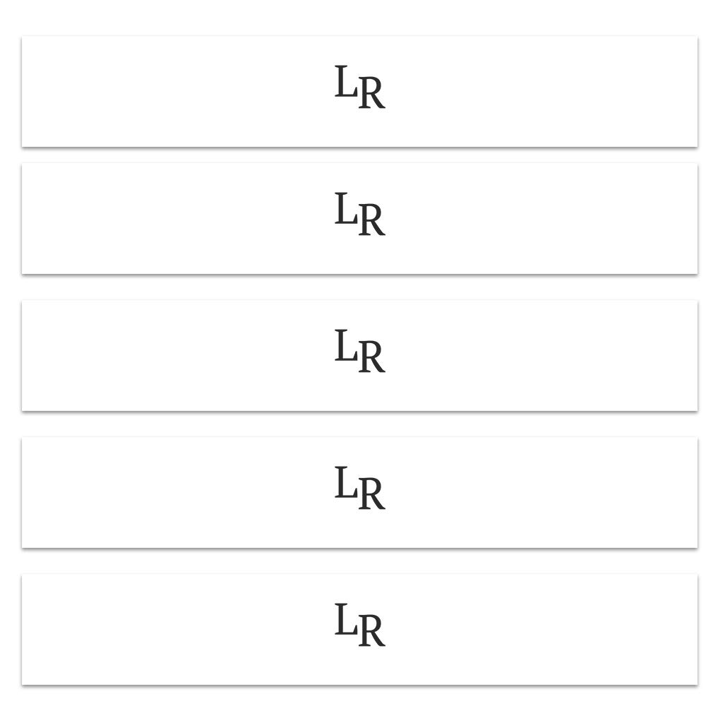 Modern simple wedding invitations vellum belly band bb67