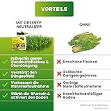 Zoom IMG-2 greenyp neutralizer protegge il prato Zoom IMG-2 greenyp neutralizer protegge il prato