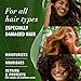 Herbal Essences Avocado Oil Sulfate Free Shampoo, Hair Repair, 13.5 Fl Oz, with Certified Camellia Oil and Aloe Vera, For All Hair Types, Especially Damaged Hair