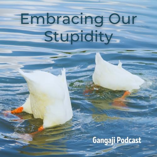 Being Yourself | Embracing Our Stupidity Podcast Por arte de portada