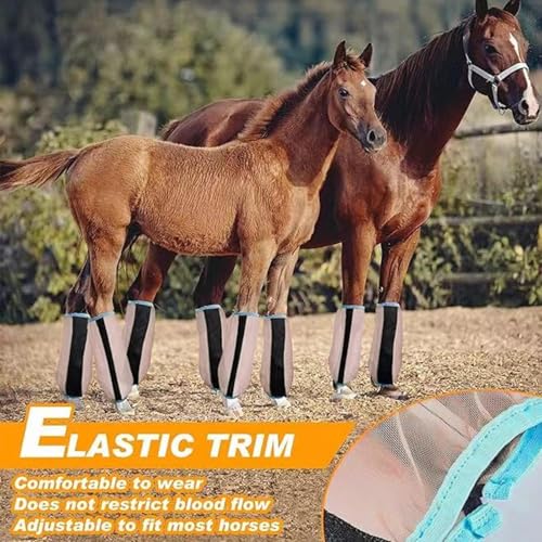 Botas anti-moscas para caballos de malla transpirable y duradera 4