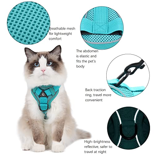 Zimoer Pettorina Cane, Pettorina Cane Regolabile