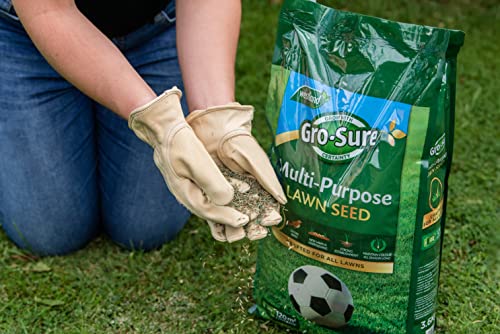 Gro-Sure Multi-Purpose Grass Lawn Seed, 300 m2, 9 kg