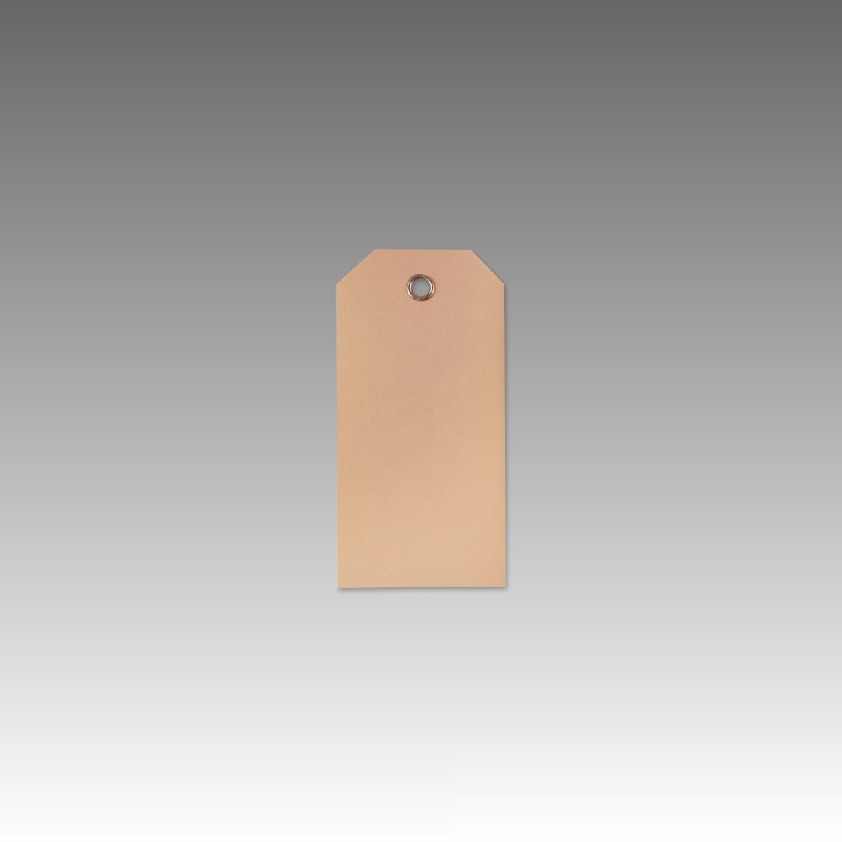 MASHPAPER braune Kartonetiketten Warenanhänger mit Metallöse - 40x80 mm