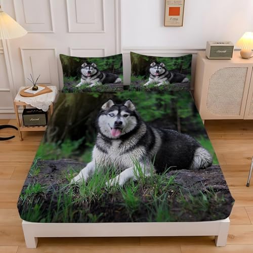 {bNXV[c X[VO nXL[ 􂦂xbhJo[ 80x200x30cm RۖhL}bgXJo[ ybg |bvȃX^C EȒPzcV[c _炩ʋC QZbgA2 43x63 cm