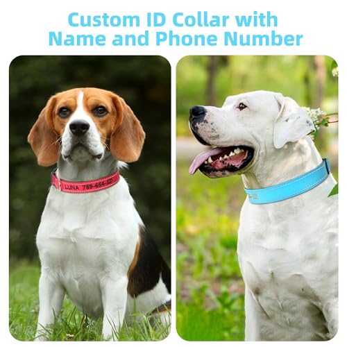 Personalisiertes Hundehalsband, Bestickt mit Namen und Telefonnummer, Weiches Neopren Gepolstert,Verstellbar für Kleine, Mittelgroße,Große Hunde