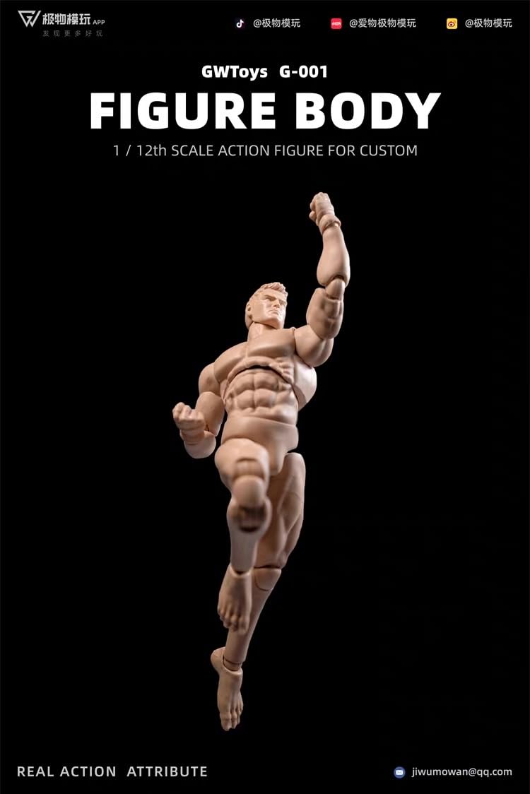 Amazon.co.jp: 【Tbmodel 】GWTOYS 1/12 アクションフィギュア 男性