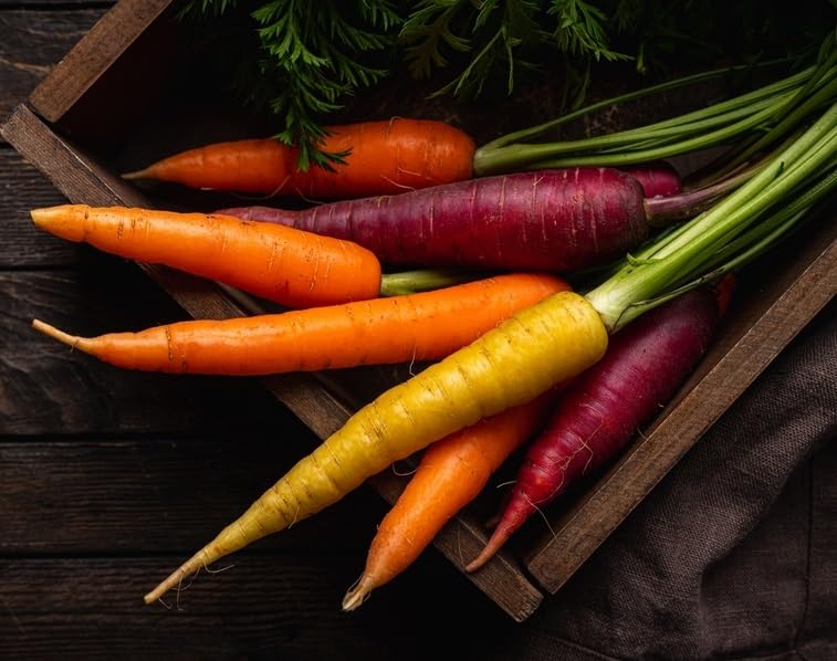 邦楽 CARROTS and STiCKS Amazon.co.jp: CARROTS and STiCKS: ミュージック