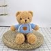 Home textile decoration® Teddy Bear Peluche Juguete Lindo Peluche Animal Peluche Oso muñeca Regalo para la Novia de San Valentín ( Color : Sweater Bear Blue , Size : 30 cm )
