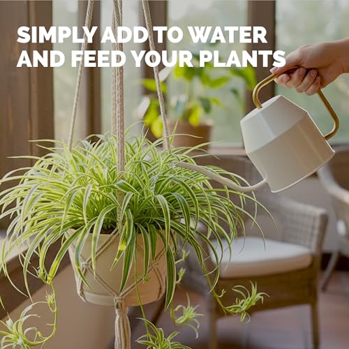 Fertilizante Líquido para Planta Araña 8 oz miniatura 5