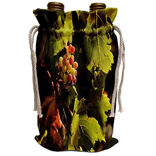 3dRose Danita Delimont - Wineries - USA, Washington, Columbia Valley. Cave B Winery - US48 RDU0525 - Richard Duval - Wine Bag (wbg_148521_1)