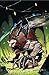 Nightwing #4