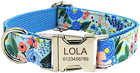 Personalized Dog Collar, Custom Engraving with Pet Name Phone Number ID Tag for Small Medium Large Breeds