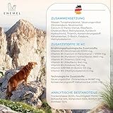 ENEMEL Vitamin B Komplex Hund Tropfen 30 ml – flüssige Vitamine für Hunde zur einfachen Anwendung, B-Vitamin Komplex zur täglichen Ergänzung & Fütterungsroutine, Premium Qualität Made in Germany