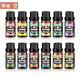 Para pagar la confianza de nuestros clientes, integramos aceites esenciales en toda nuestra colección de productos difusores.