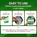 DIVCHI Dehumidifier Disposable 500ml Pack of 24 Condensation Remover Moisture Absorber Dehumidifiers for Damp, Mould, Moisture in Home, Kitchen, Bedroom, Caravan, Office, Garage, Bathroom, Basement - Image 6