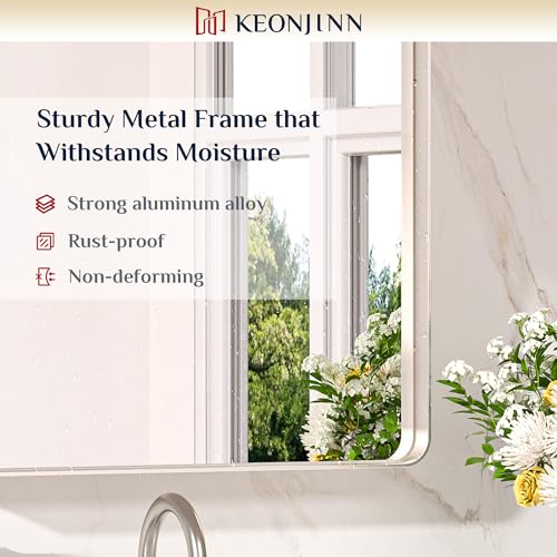 20 x 30 Inch Brushed Nickel Bathroom Mirror for Farmhouse Wall Decor
