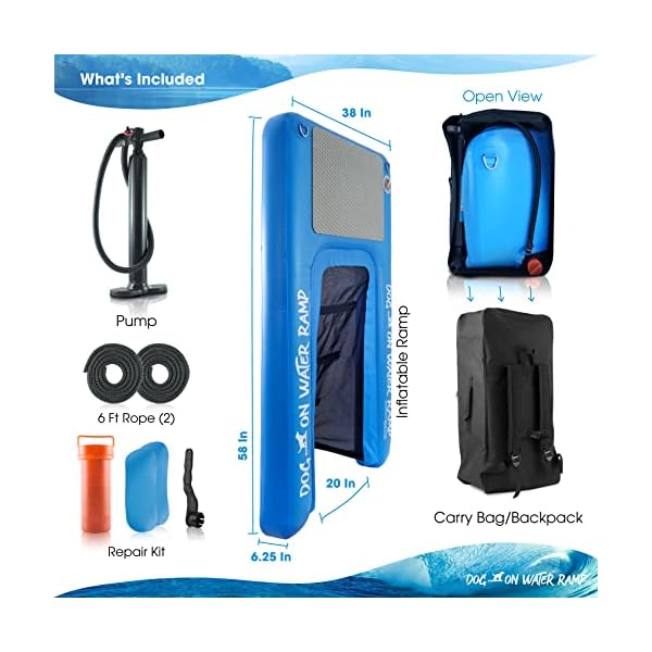 Dog on Water Ramp for Boat, Dock, or Pool