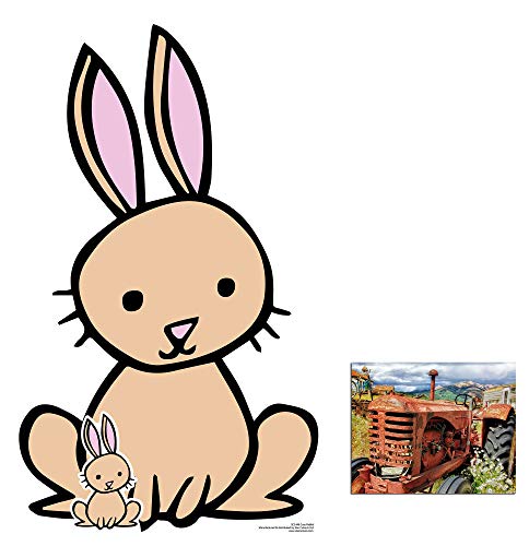 BundleZ-4-FanZ Cute Rabbit Animal Cardboard Cutout/Standup Fan Pack, 85cm x 52cm Includes Mini Cutout and 8x10 Photo