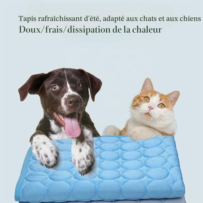 CroqPatte Croq’Fresh - Le Tapis Rafraîchissant L'été Tapis Frais Et Durable pour Chien Chats (Bleu,XXL-150X100cm)