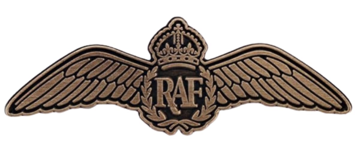 RAF Royal Air Force British UK Vintage Retro Wings Crown Wreath Military Medal 2" Enamel Pin Badge