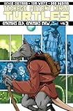 Teenage Mutant Ninja Turtles Volume 2: Enemies Old, Enemies New