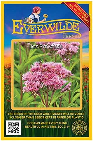 Everwilde Farms - 2000 Joe Pye Weed Native Wildflower Seeds - Gold Vault Jumbo Seed Packet