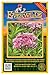 Everwilde Farms - 2000 Joe Pye Weed Native Wildflower Seeds - Gold Vault Jumbo Seed Packet