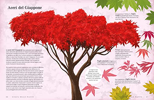 Flora. Guida Infografica Al Giardinaggio. Ediz. A Colori - 7