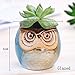 ROSE CREATE 6 Pcs 2.5 Inches Owl Pots, Little Ceramic Succulent Bonsai Pots with a Hole - Pack of 6