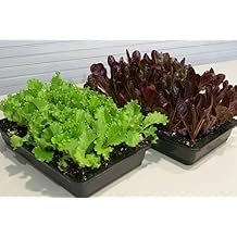 Hoss 48-Cell Seed Starting Kit | Trays, Domes, Soil, Fertilizer and Plant Labels!