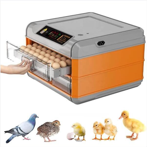 Couveuse automatique 128 œufs : la solution contre la perte de couvée de poulets et d'oies