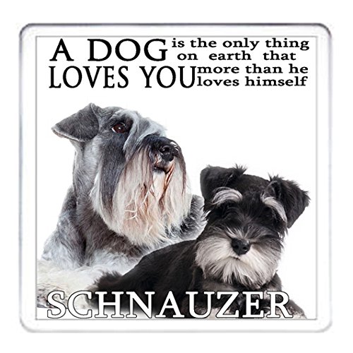 SCHNAUZER COASTER, Mat for your mug. Schnauzer Dog Gift Acrylic Coaster. 10cm x 10cm