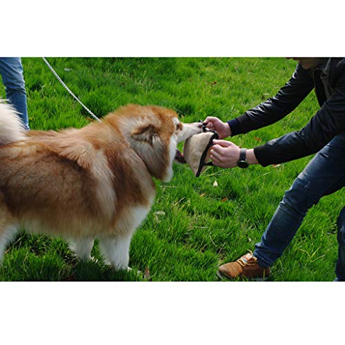 KESOTO Bijtworst met 3 polslussen. - Image 4