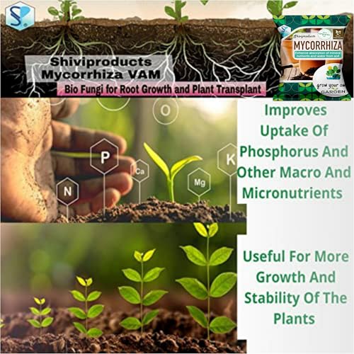 Image of Organic Mycorrhizal Biofertilizer VAM fungi (900gm)|Essential Fertilizer for Root Growth and Plant Transplant|for Home Gardening Vegetables and Flowering Plant, powder