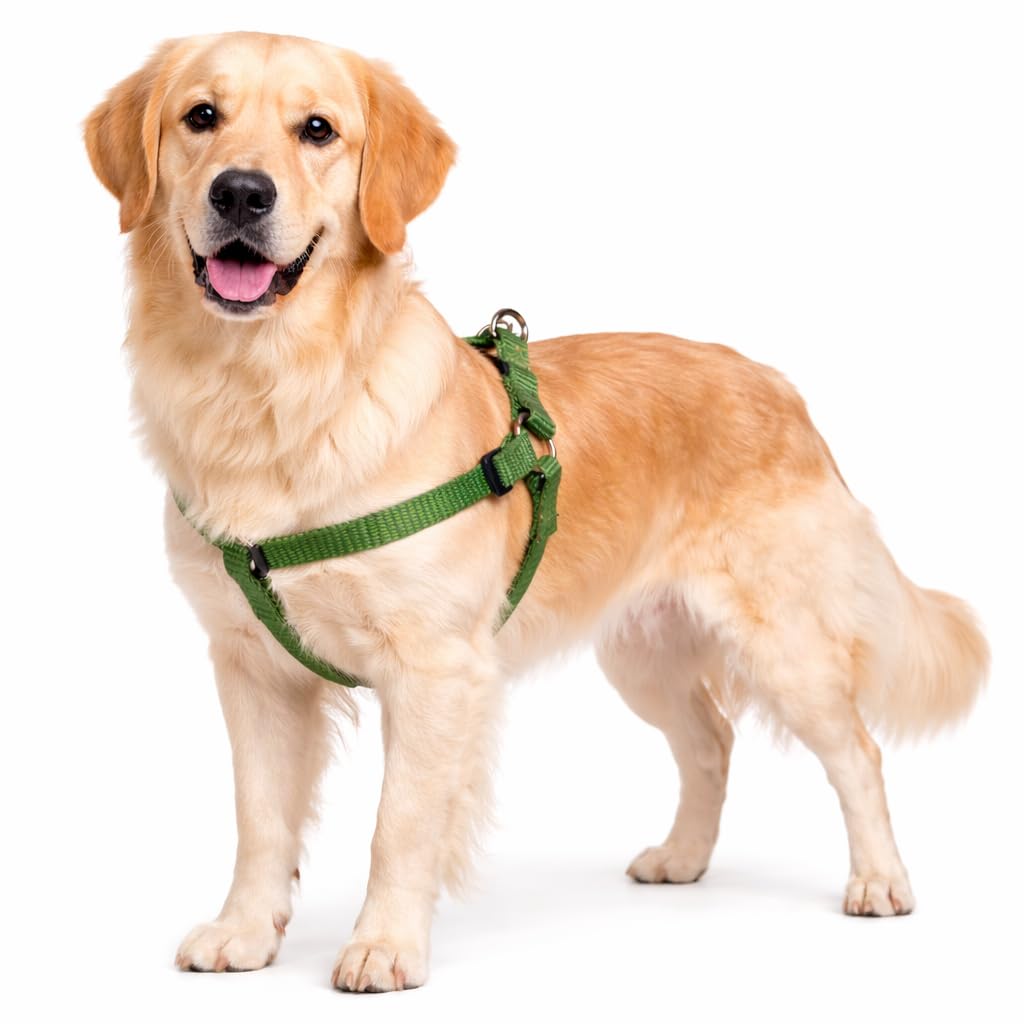 Dog Harness Step&Go Ziggi Khaki XL 60-90cm 60-90cm 25mm