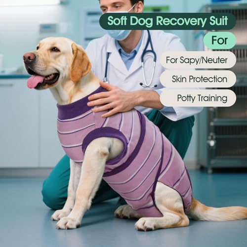 Image of Kuoser Dog Surgery Recovery Suit, Soft Breathable Dog Recovery Suit for Female Spay Male Nueuter, Anti Licking Puppy Onesie Pet Surgical Suit for Dogs Abdominal Wounds Skin Disease, Purple Strips M