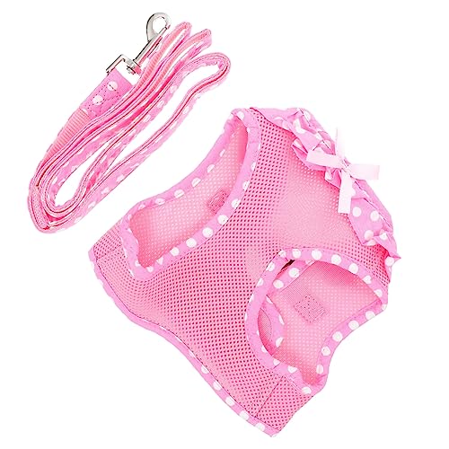 LOLIPPYY LpwxXg^ybgn[lX ʋCǍDŉK EȒP ɂ^[vtU⏕