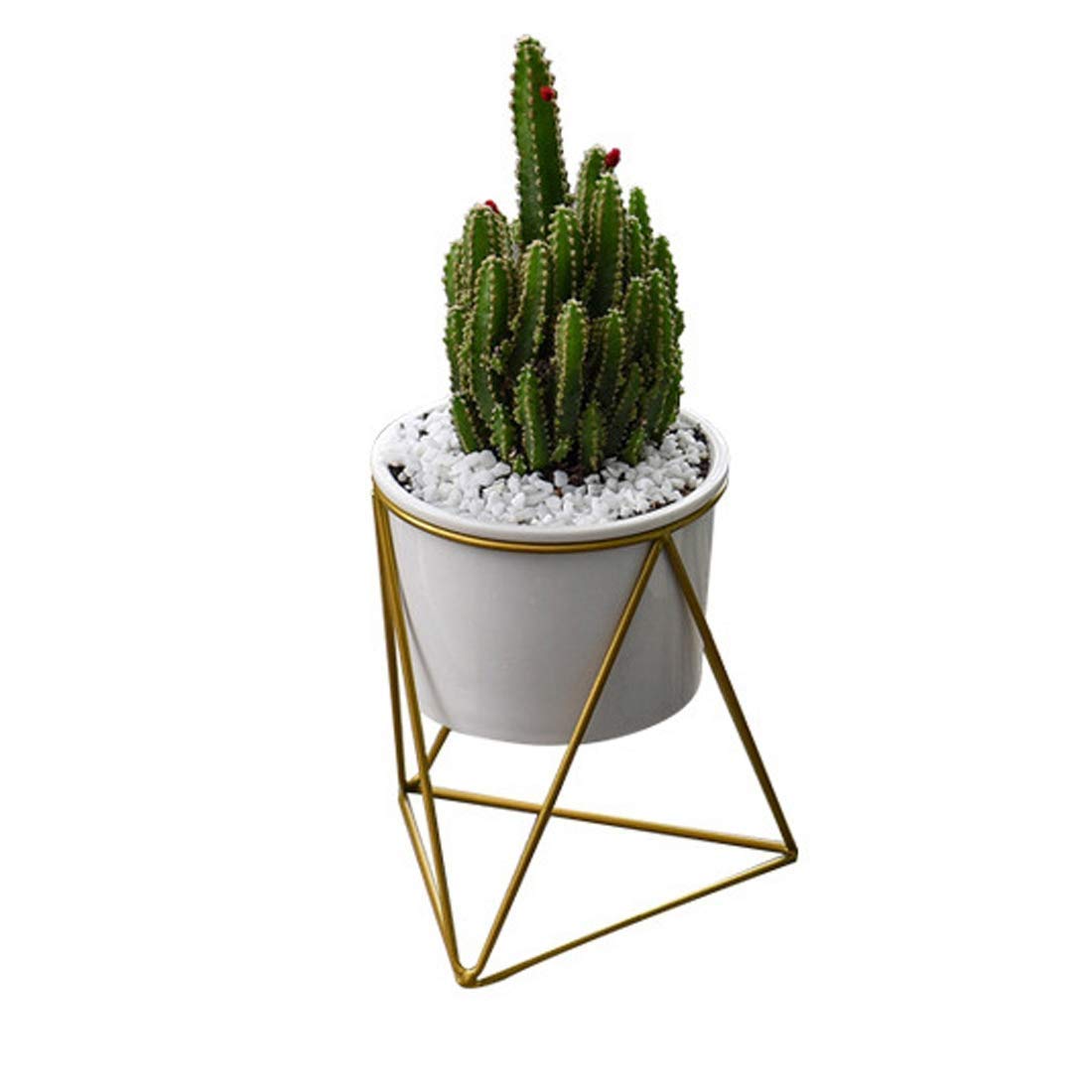 Wrought Iron Ceramic Flower Pot Square Flower Pot Container With Black Iron Frame Succulent Air Plant Cactus Modern Room Table Decoration,Black